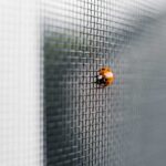 banner blog nuove zanzariere avvolgenti